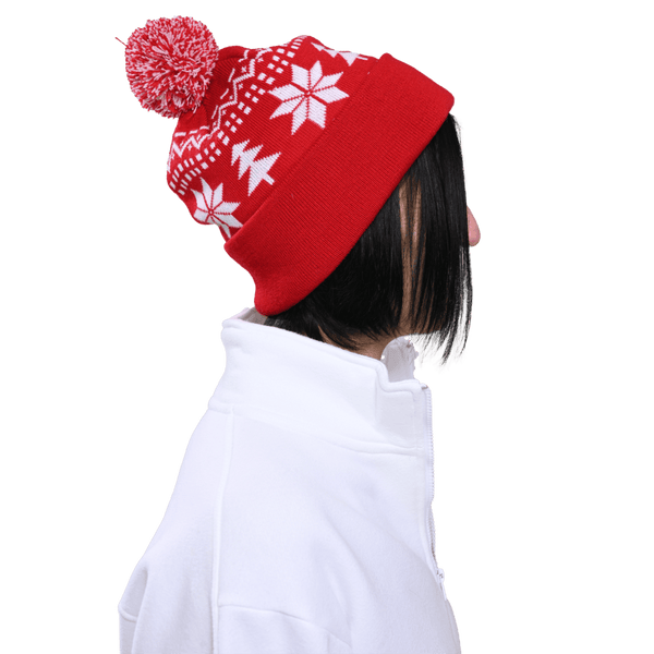 The Knit Beanie with Pom (PPB100)