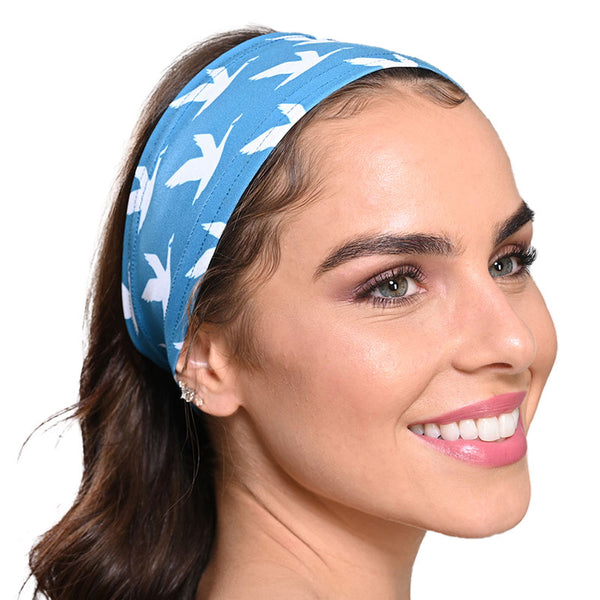 The Endurance Headband (H100S)